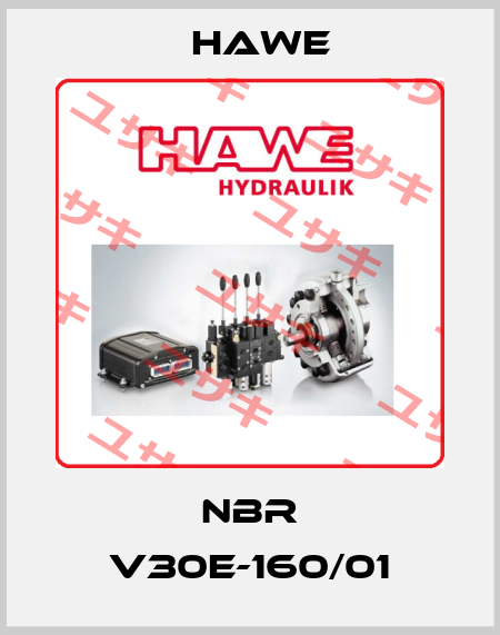 NBR V30E-160/01 Hawe