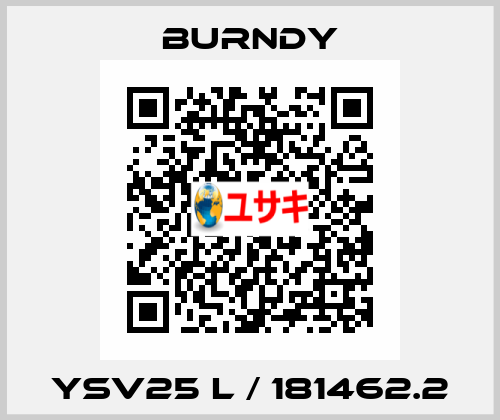 YSV25 L / 181462.2 Burndy