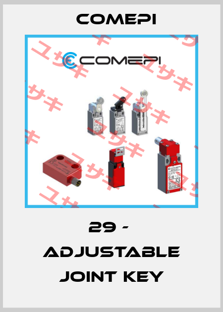 29 -  Adjustable joint key Comepi