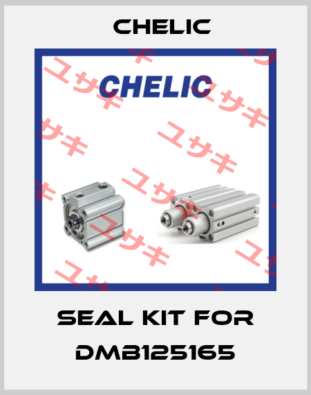 seal kit for DMB125165 Chelic