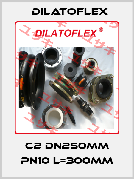 C2 DN250mm PN10 L=300mm DILATOFLEX