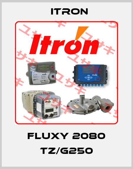 FLUXY 2080 TZ/G250 Itron