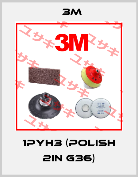 1PYH3 (Polish 2in G36) 3M