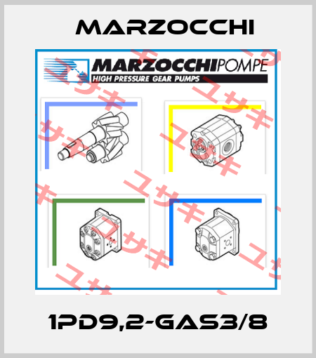 1PD9,2-GAS3/8 Marzocchi