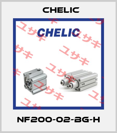 NF200-02-BG-H Chelic