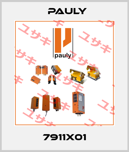 7911X01 Pauly