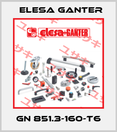 GN 851.3-160-T6 Elesa Ganter