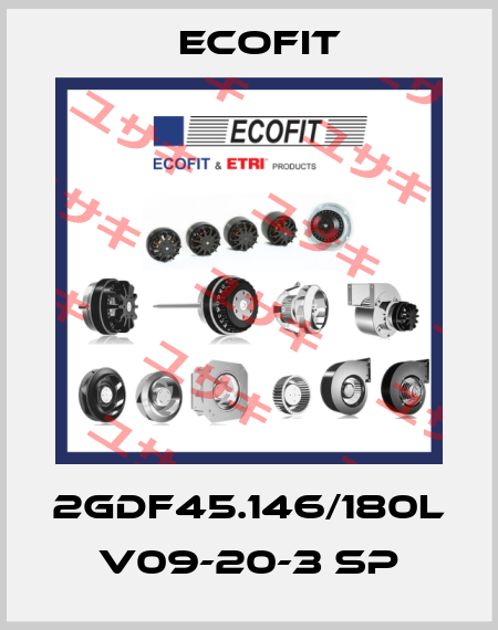 2GDF45.146/180L V09-20-3 SP Ecofit