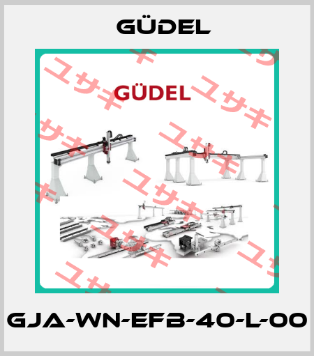GJA-WN-EFB-40-L-00 Güdel