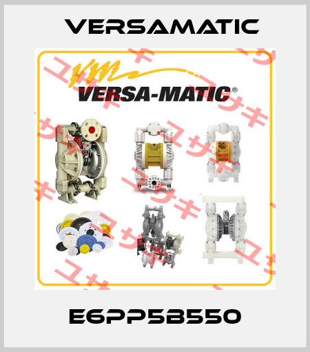 E6PP5B550 VersaMatic