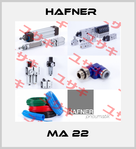 MA 22 Hafner