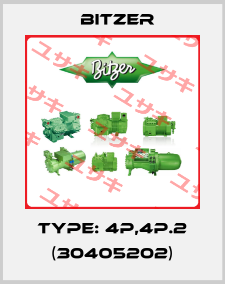 Type: 4P,4P.2 (30405202) Bitzer