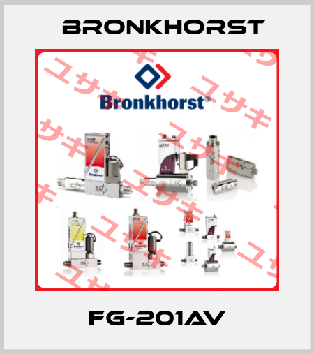 FG-201AV Bronkhorst