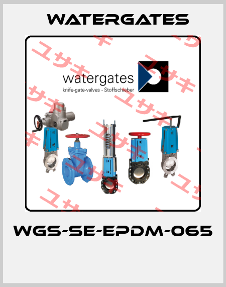 WGS-SE-EPDM-065  Watergates