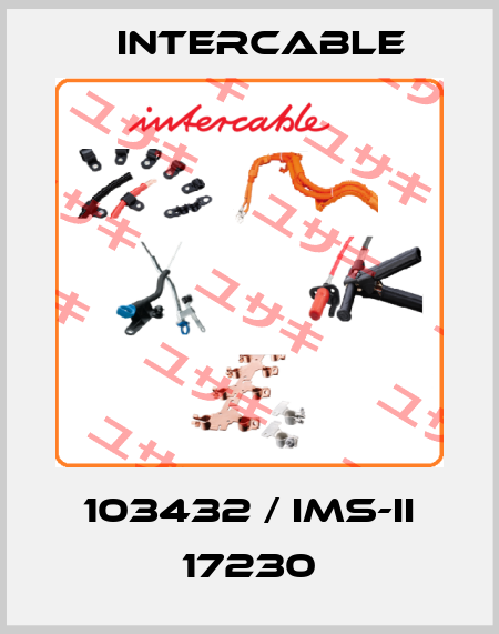 103432 / IMS-II 17230 Intercable