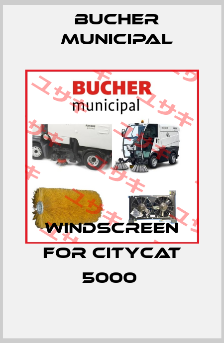 WINDSCREEN FOR CITYCAT 5000  Bucher Municipal