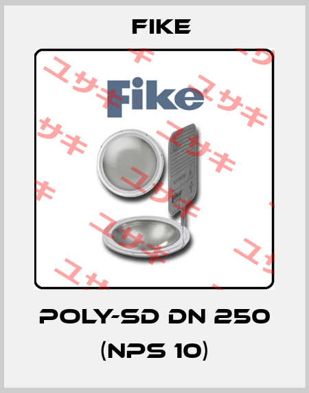 POLY-SD DN 250 (NPS 10) FIKE