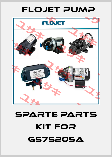 Sparte Parts Kit For G575205A Flojet Pump