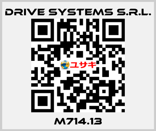 M714.13 DRIVE SYSTEMS s.r.l.