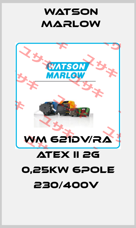 WM 621DV/RA ATEX II 2G 0,25KW 6POLE 230/400V  Watson Marlow