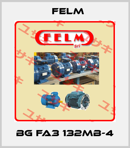 BG FA3 132MB-4 Felm