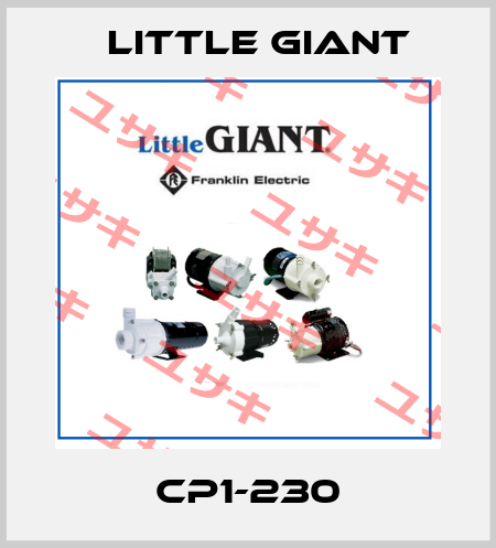 CP1-230 Little Giant