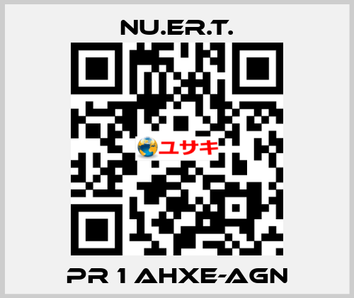 PR 1 AHXE_AGN NU.ER.T.