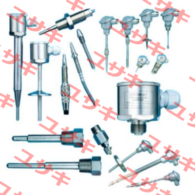 1xPT100 DIN class B, 2-wire Dittmer