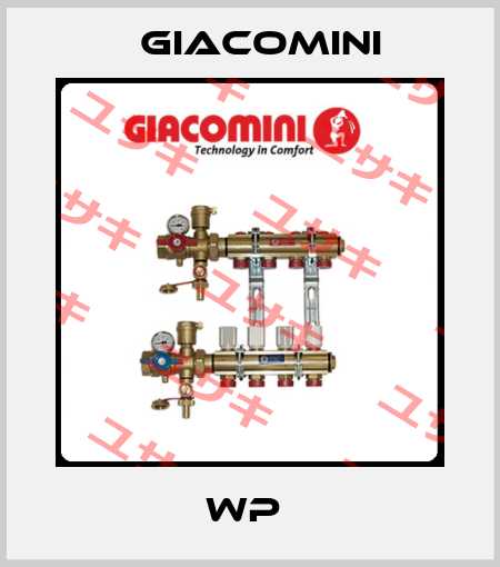 WP  Giacomini