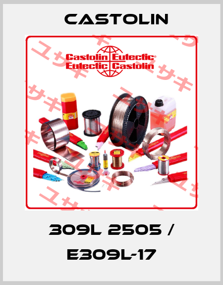 309L 2505 / E309L-17 Castolin