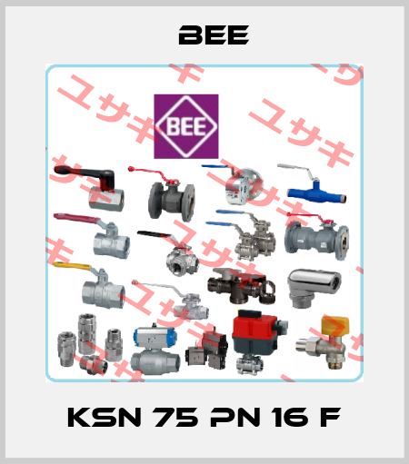 KSN 75 PN 16 F BEE