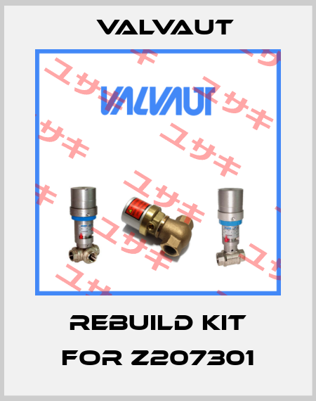 Rebuild kit for Z207301 Valvaut