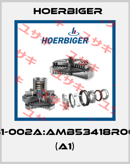 HB53451-002A:AMB53418R06B030X (A1) Hoerbiger
