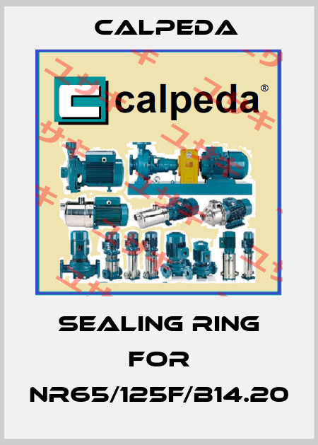 Sealing ring for NR65/125F/B14.20 Calpeda