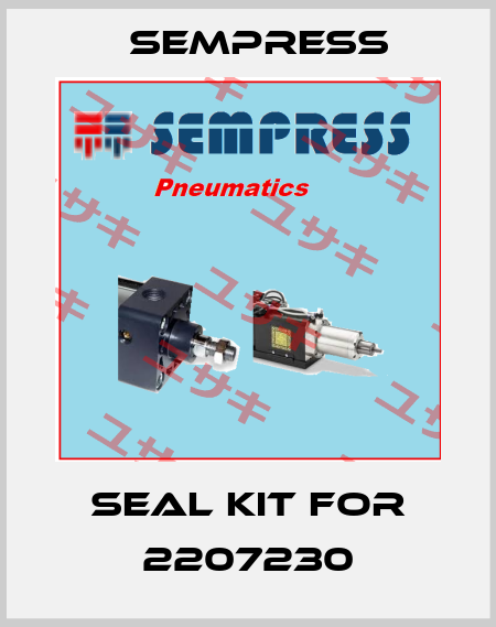 seal kit for 2207230 Sempress