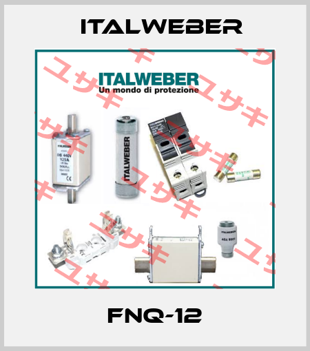 FNQ-12 Italweber