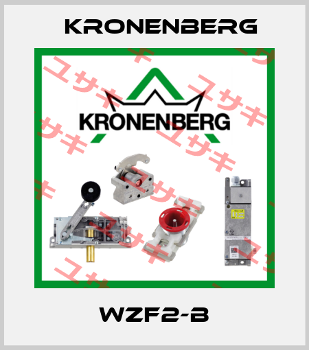 WZF2-B Kronenberg