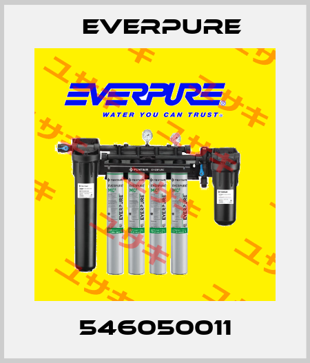 546050011 Everpure
