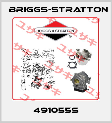 491055S Briggs-Stratton