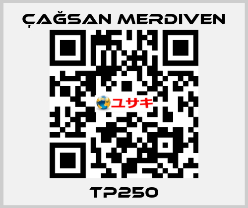 TP250 Çağsan Merdiven