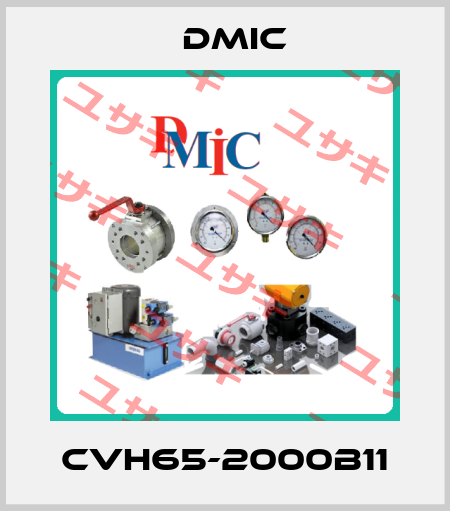 CVH65-2000B11 DMIC