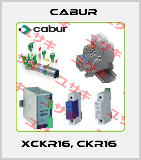 XCKR16, CKR16  Cabur