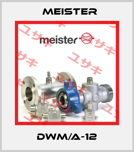 DWM/A-12 Meister