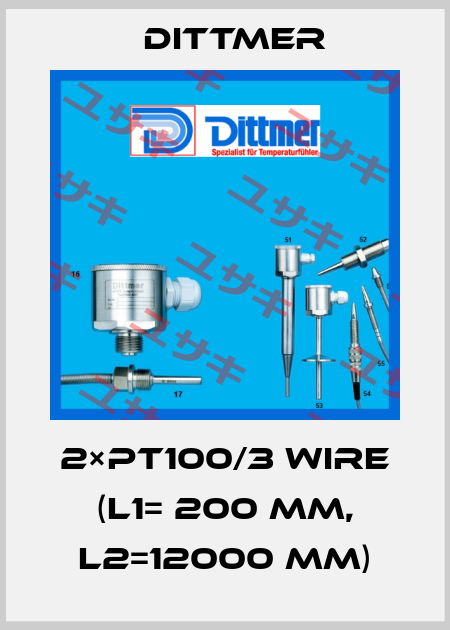2×PT100/3 WIRE (L1= 200 mm, L2=12000 mm) Dittmer