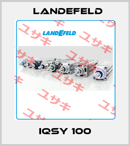 IQSY 100 Landefeld