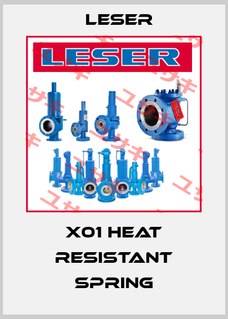 X01 Heat resistant spring Leser