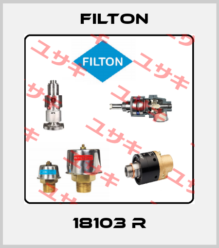 18103 R Filton