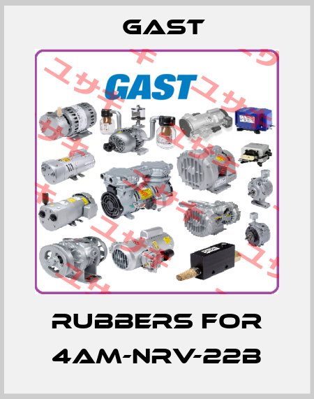 rubbers for 4AM-NRV-22B Gast