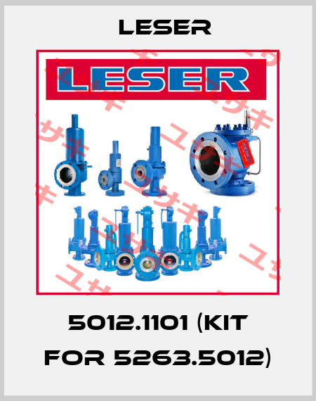 5012.1101 (kit for 5263.5012) Leser