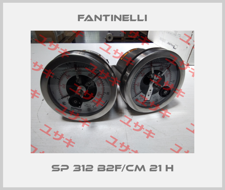SP 312 B2F/CM 21 H Fantinelli